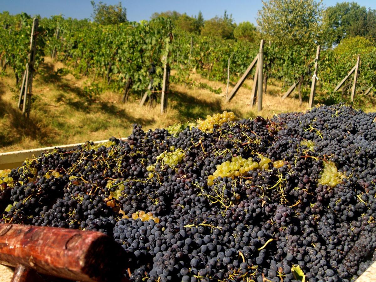 Agroturismo La Roverella Monteroni dʼArbia