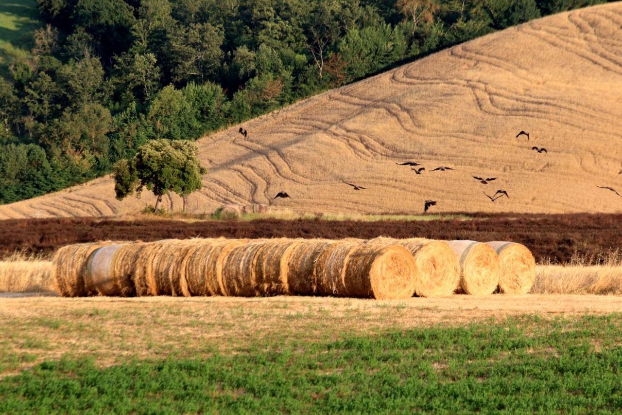 La Roverella Agroturismo