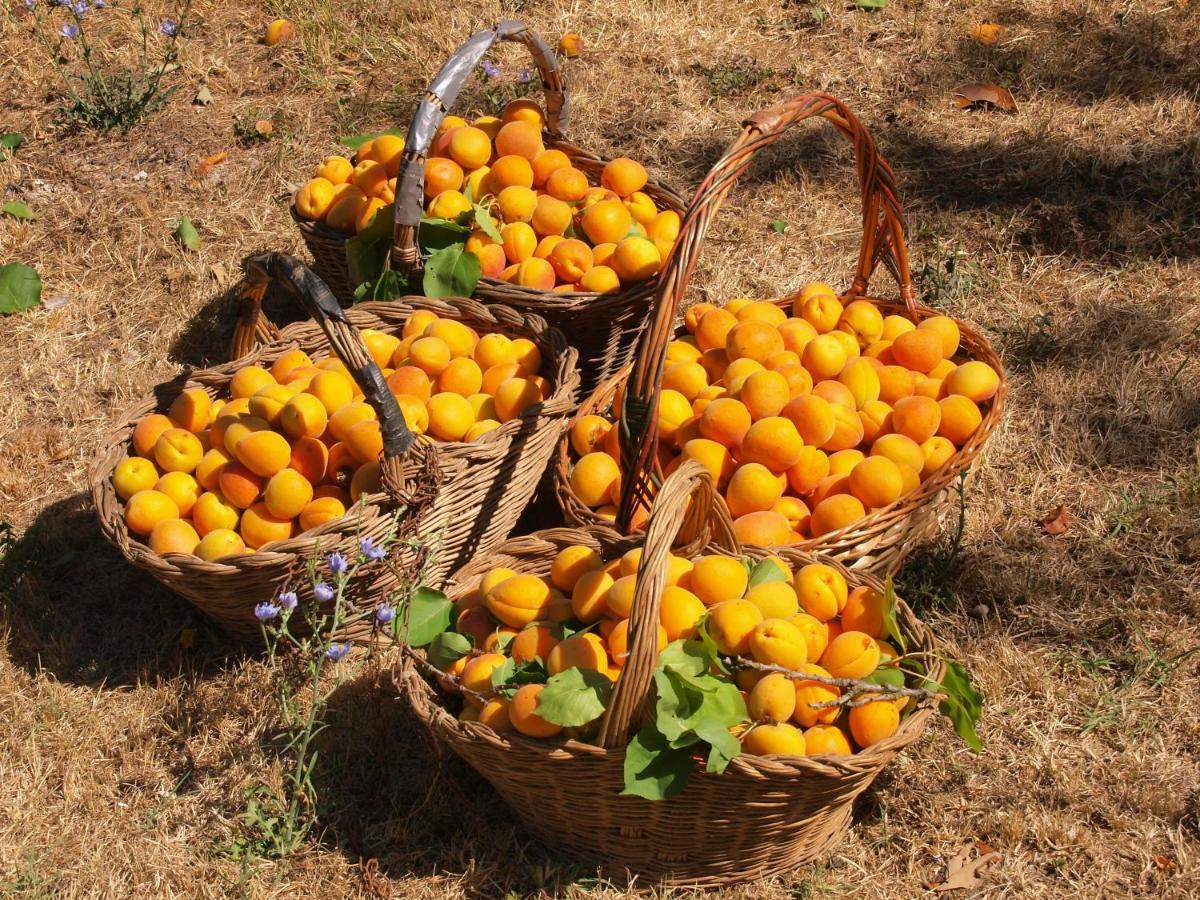 Agroturismo La Roverella