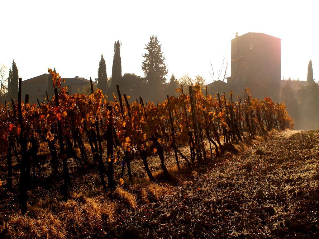 La Roverella Monteroni dʼArbia