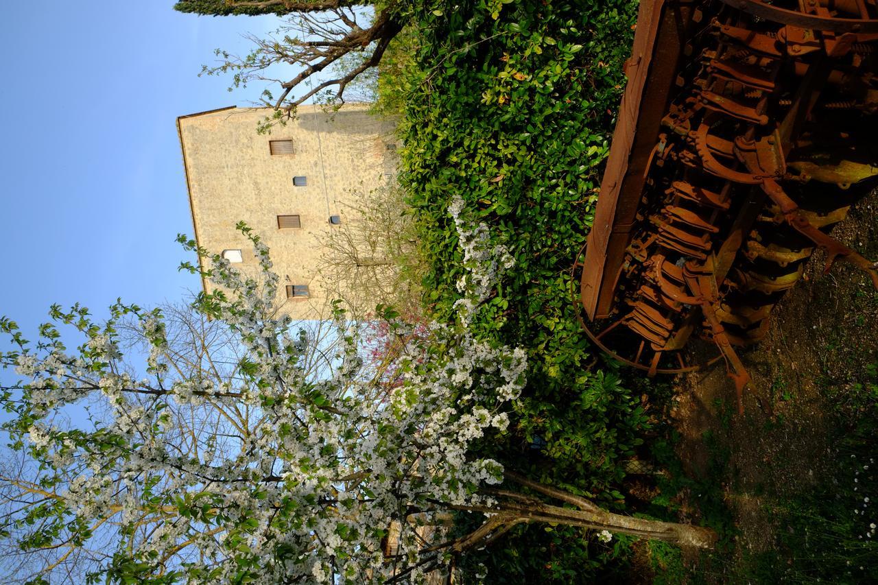 La Roverella *