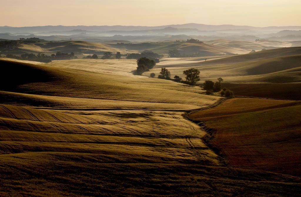 La Roverella * Monteroni d'Arbia