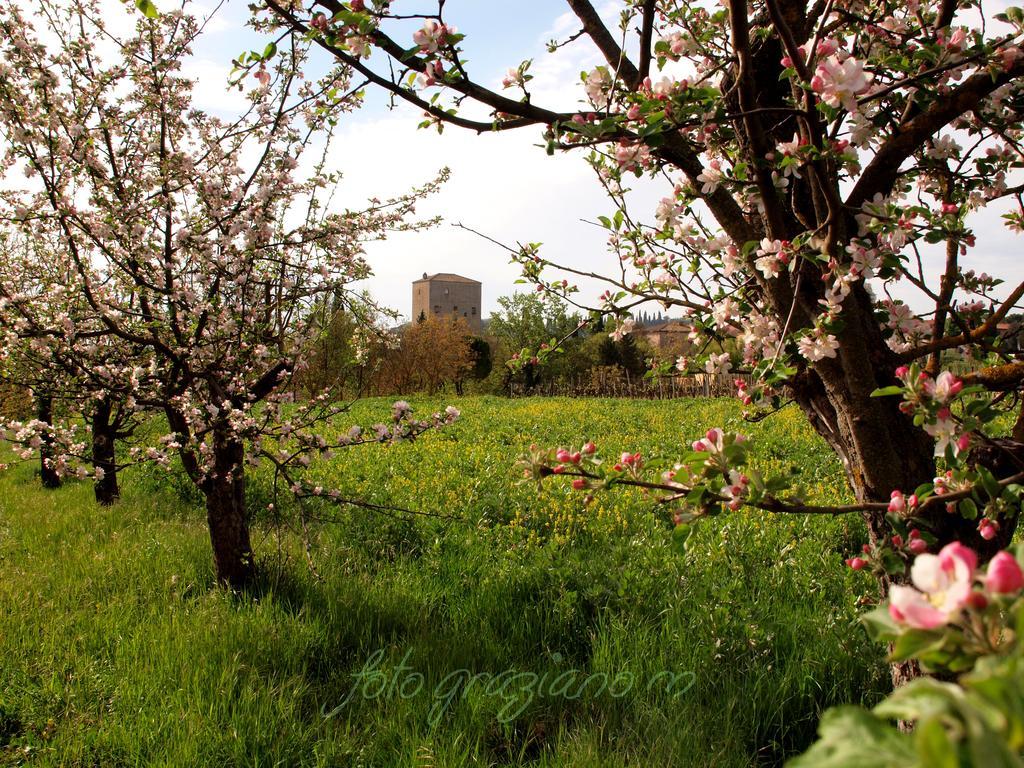 Farm stay La Roverella Monteroni d'Arbia