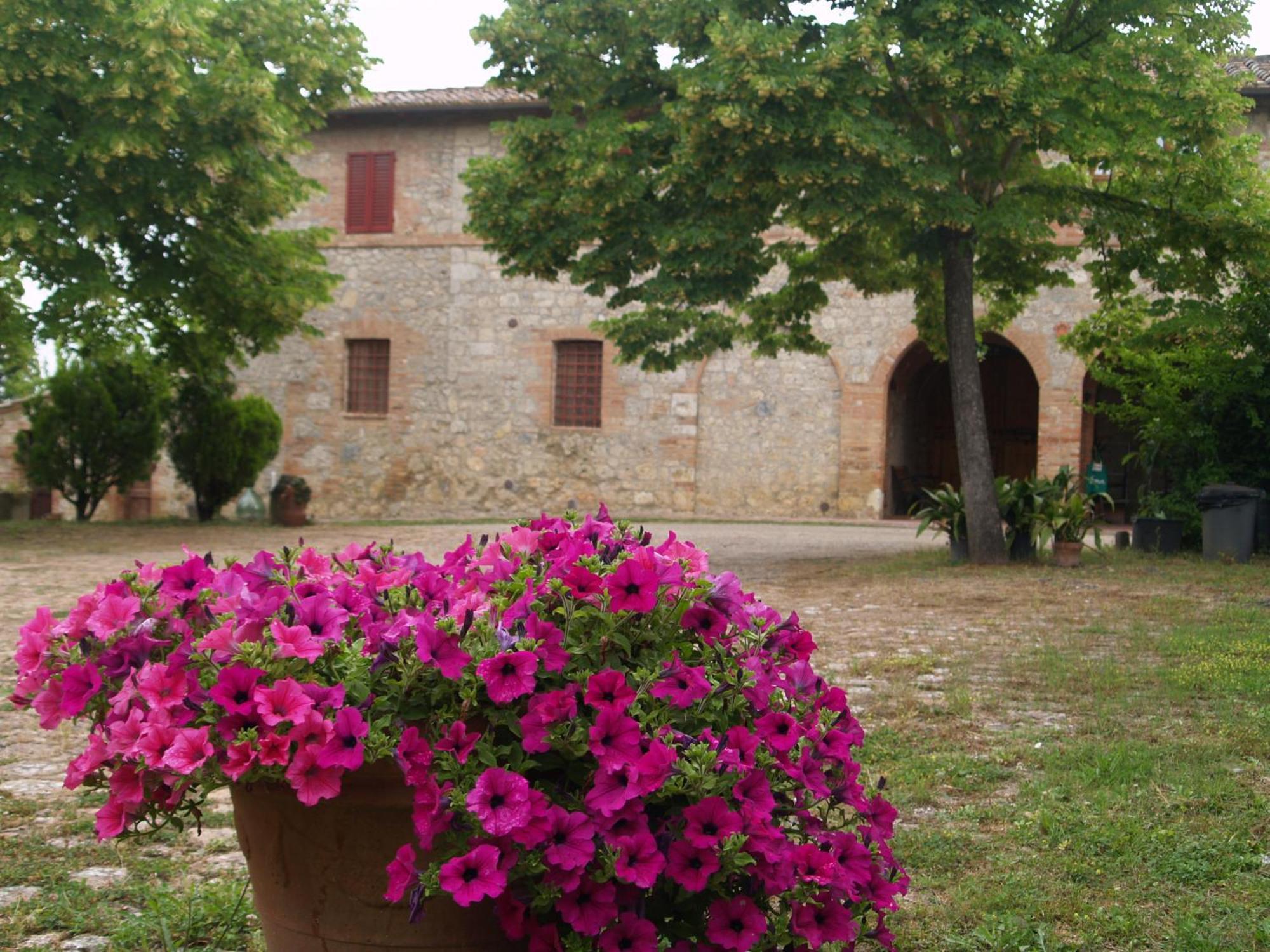 Farm stay La Roverella Monteroni d'Arbia