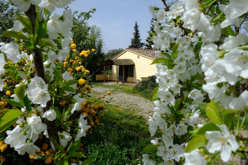 La Roverella *
