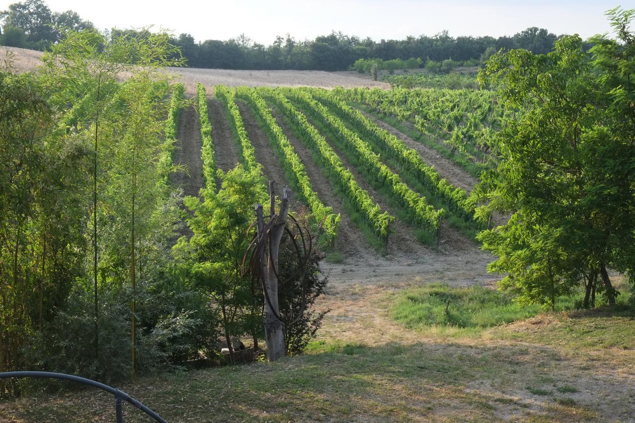 Farm stay La Roverella Monteroni d'Arbia